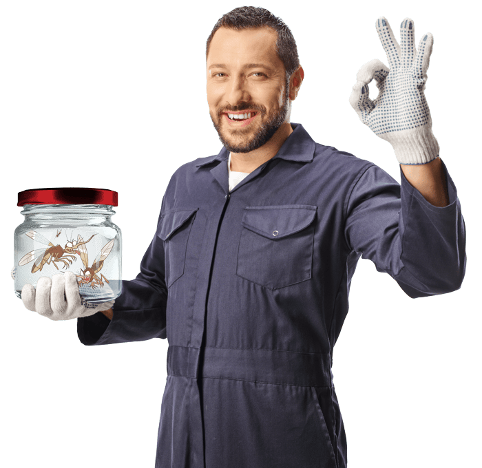 xpulse-protection-sanitaire-solutions-antiparasitaires-3d